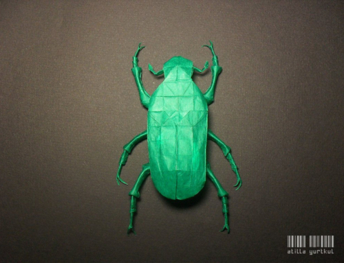 Green Rose Chafer